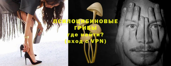PSILOCYBIN Навашино