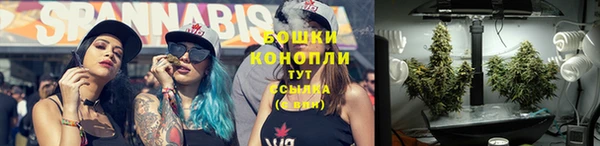 дурь Михайловск