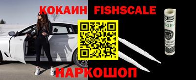 гидропоника Будённовск