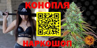 гидропоника Будённовск
