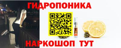 гидропоника Будённовск