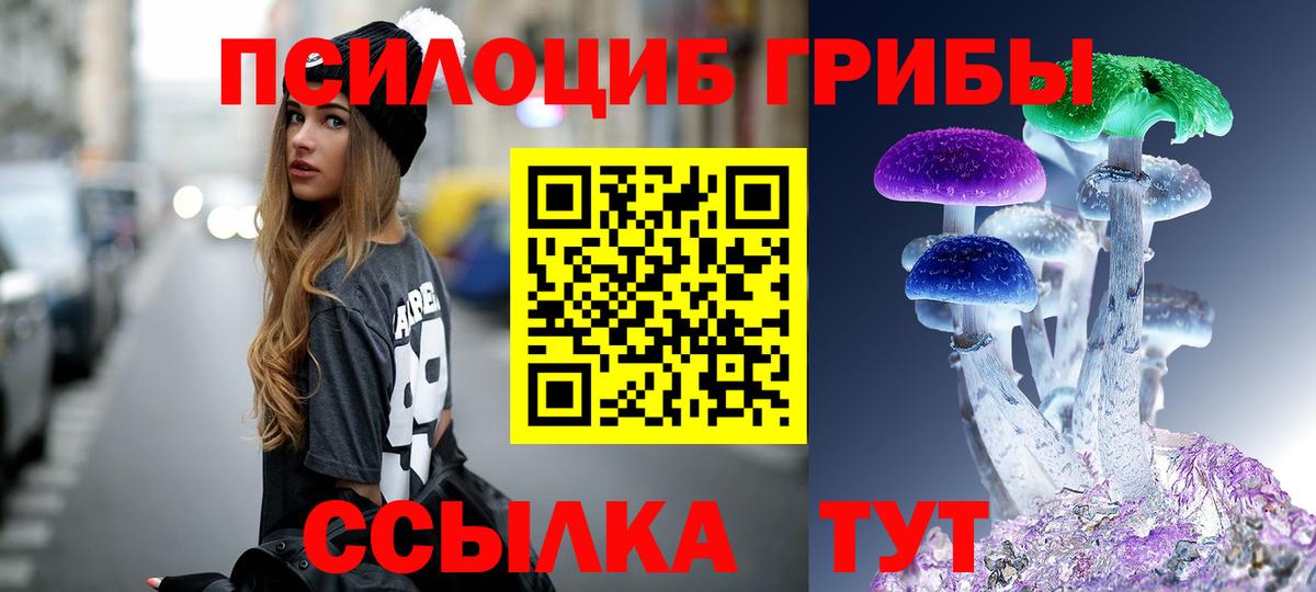 Галлюциногенные грибы Psilocybe Ирбит