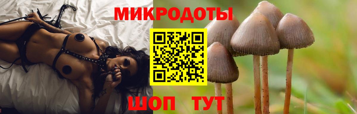 Галлюциногенные грибы Psilocybine cubensis  Вход с VPN  Ирбит 